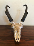 P #18, Pyrography on Pronghorn Skull.