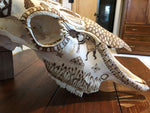 P #19, Pyrography on Bull Bison Skull.  SOLD