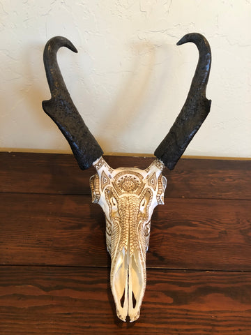 P #18, Pyrography on Pronghorn Skull.