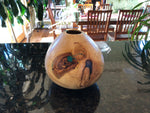 WT #32.  Hollow Form Vessel from Colorado Blue Spruce with Malachite inlay.