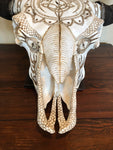 P #20, Pyrography on Bison Skull