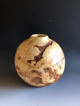 WT #104, Hollow Form Vessel from an Elm Burl.