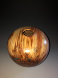 WT #105, Hollow Form Vessel from Spalted & Riddled Aspen with Turquoise inlay.